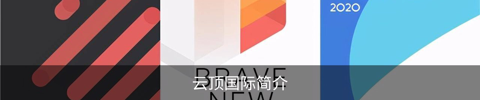 云顶国际简介